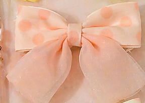 Blossom Dreamy Bow Clip